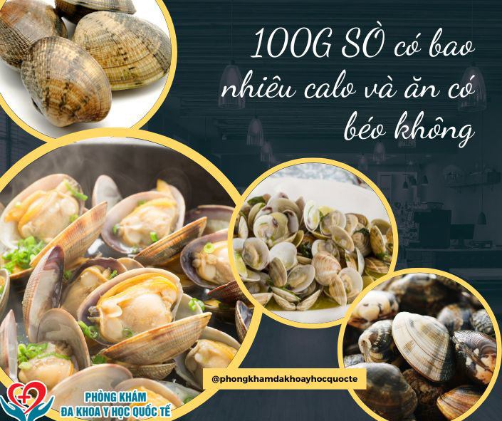 100g sò có bao nhiêu calo và ăn có béo không