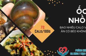 oc-nhoi-bao-nhieu-calo-va-an-co-beo-khong