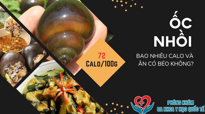 Ốc nhồi bao nhiêu calo và ăn ốc nhồi có béo không