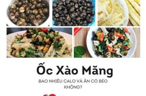 oc-xao-mang-bao-nhieu-calo-va-an-co-beo-khong