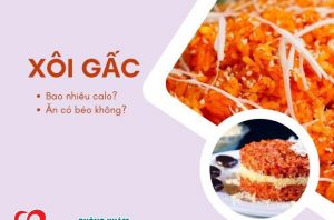 xoi-gac-bao-nhieu-calo-va-an-lieu-co-beo-khong