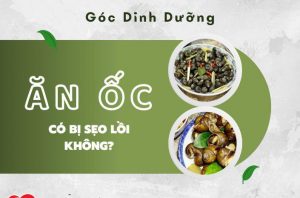 an-oc-co-bi-seo-loi-khong