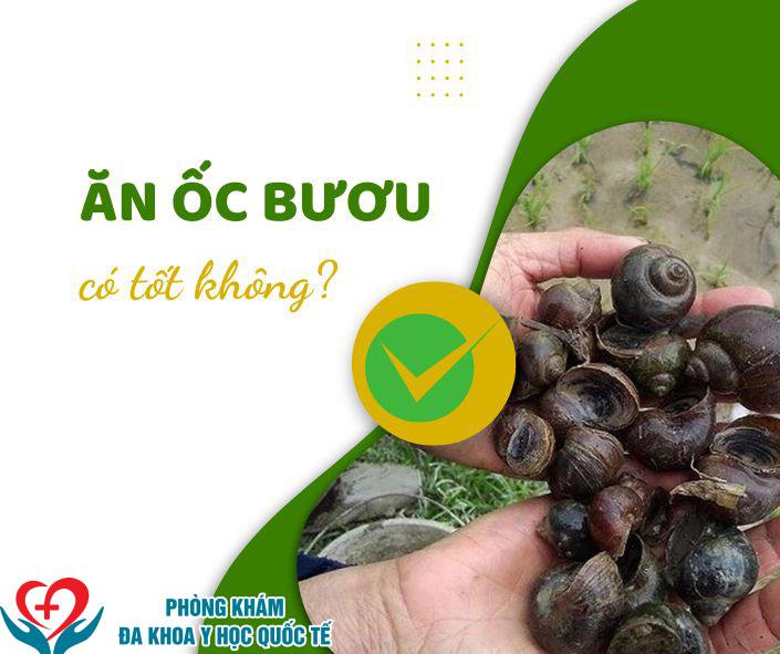 Ăn ốc bươu có tốt không