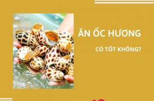 an-oc-huong-co-tac-dung-gi-tot-khong