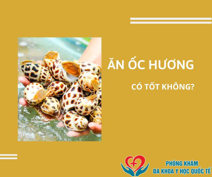 Ăn ốc hương có tác dụng gì tốt không