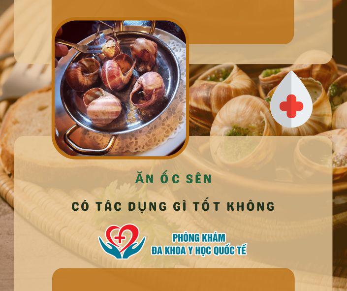 Ăn ốc sên có tác dụng gì tốt không