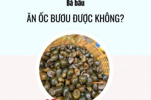 bau-an-oc-buou-duoc-khong