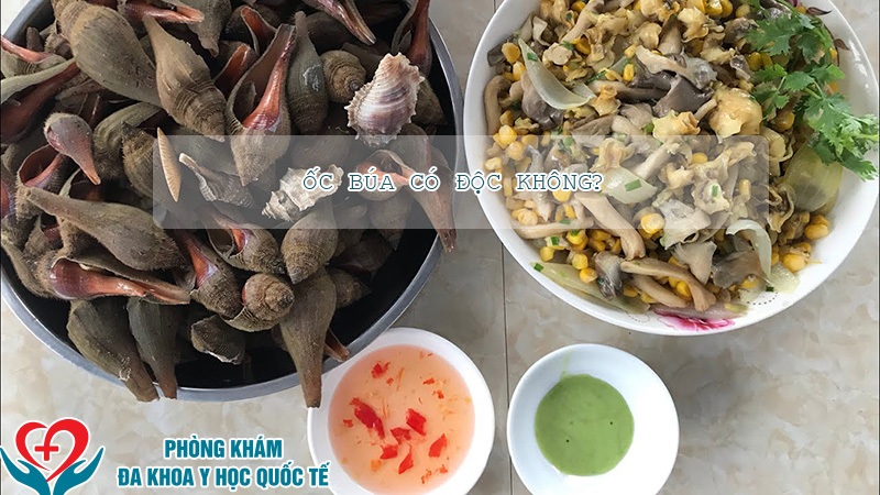 Ốc búa có độc không?