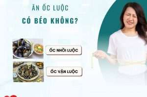 an-oc-luoc-co-beo-khong