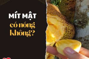 mit-mat-co-nong-khong