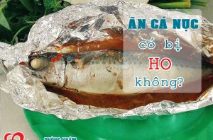 an-ca-nuc-co-bi-ho-khong