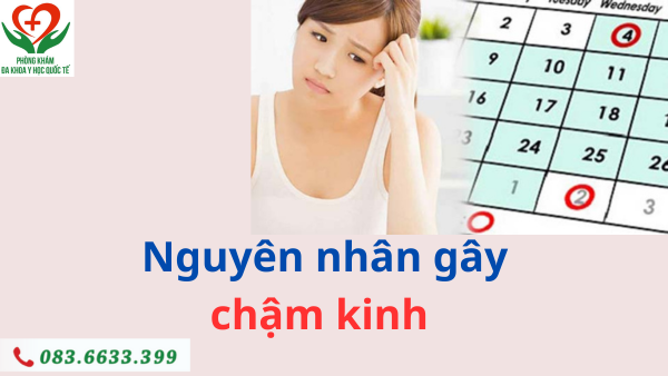 Nguyên Nhân Phổ Biến Gây Chậm Kinh (Trễ Kinh)