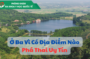 o-ba-vi-co-dia-diem-nao-pha-thai-uy-tin