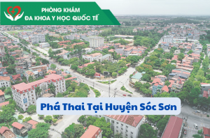 bat-mi-ve-co-so-pha-thai-an-toan-nhat-tai-huyen-soc-son